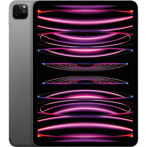 Планшет Apple iPad Pro 11 (2022) Wi-Fi + Cellular 128GB Space Gray (MP553)