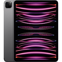 Планшет Apple iPad Pro 11 (2022) Wi-Fi 256GB Space Gray (MNXF3)
