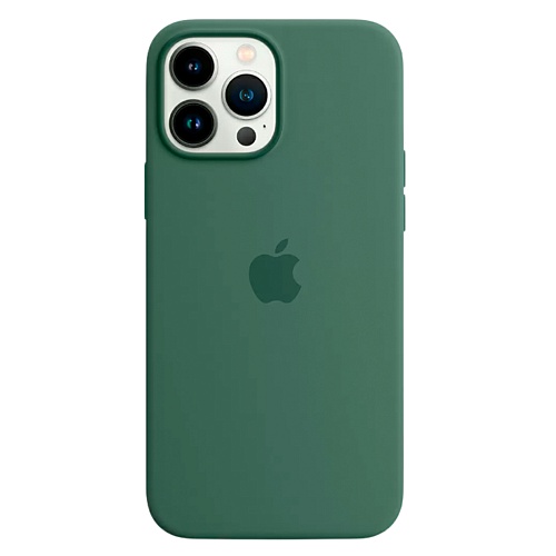 Чехол Silicone Case с MagSafe для Apple iPhone 13 Pro (6.1) (Eucalyptus) ААА