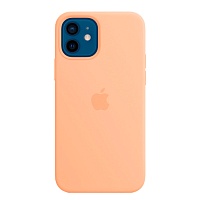 Чохол Silicone Case з MagSafe для Apple iPhone 12 / 12 Pro (Cantaloupe) ААА - придбати в Дніпрі, Україні: ціна, характеристики | інтернет-магазин TOUCH